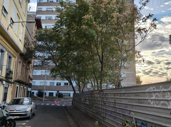 poda-desbroce-zaragoza-excavaciones-garber05