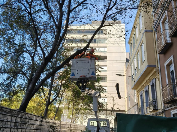 poda-desbroce-zaragoza-excavaciones-garber07