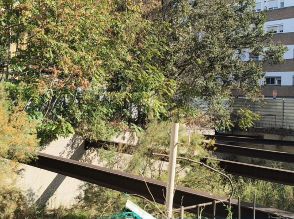 poda-desbroce-zaragoza-excavaciones-garber09