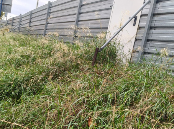 poda-desbroce-zaragoza-excavaciones-garber11