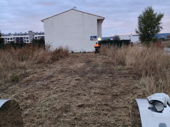 vallado-desbroce-alovera-excavaciones-garber19